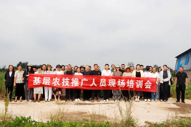有机蔬菜批发：品牌故事与成功案例分享