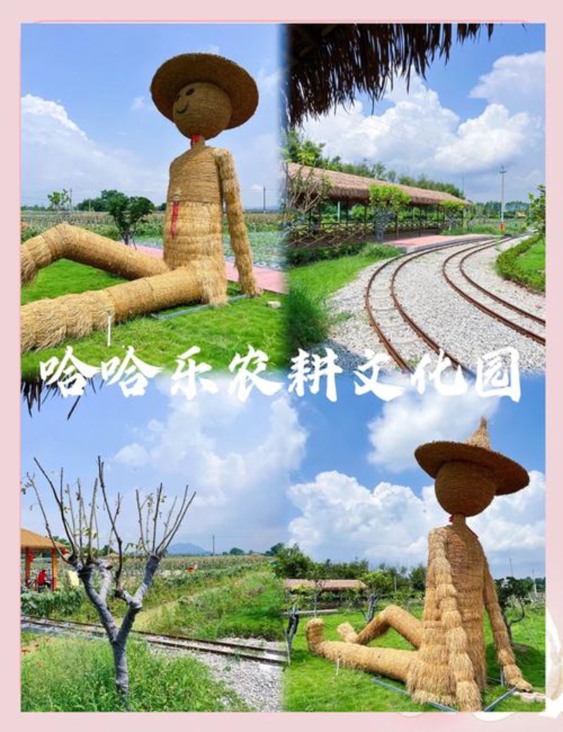 休闲农业观光